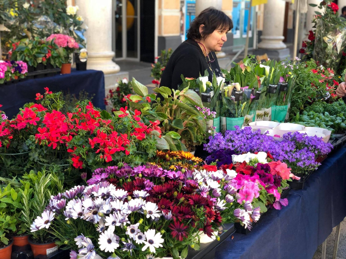 María José atendiendo