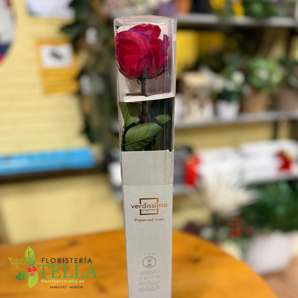 Rosa Preservada.001.webp