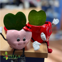 Candelera 2026.004.webp