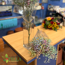 Candelera 2026.020.webp