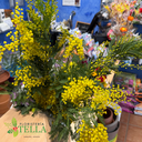 Candelera 2026.029.webp