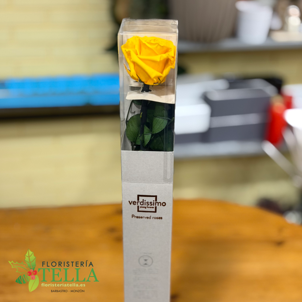 Rosa Preservada.005.webp