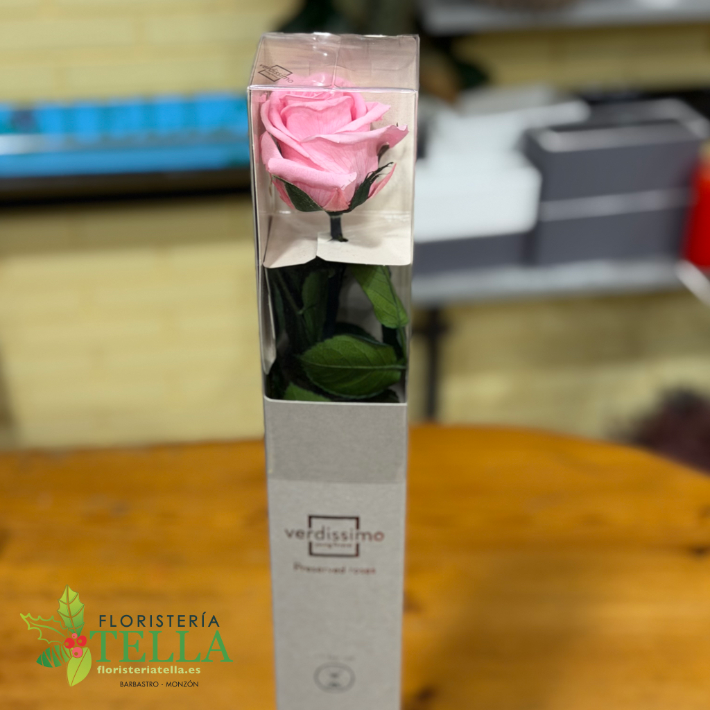 Rosa Preservada.007.webp