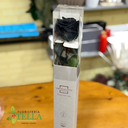 Rosa Preservada.009.webp