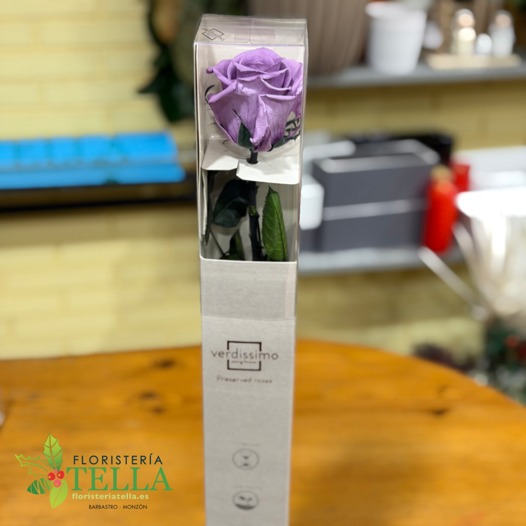 Rosa Preservada.011.webp