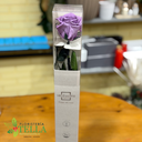 Rosa Preservada.011.webp