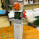 Rosa Preservada.013.webp