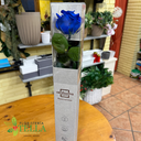 Rosa Preservada.017.webp