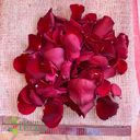 Mas Rosas.001.webp