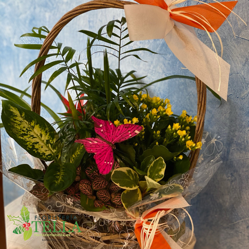 Large basket with plants