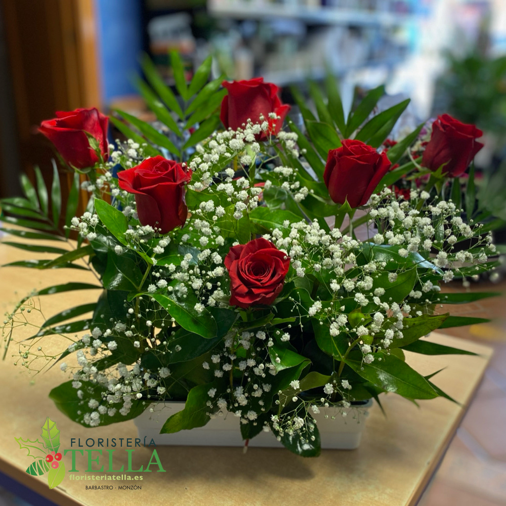 Centro Rosas Cementerio (3, 3)