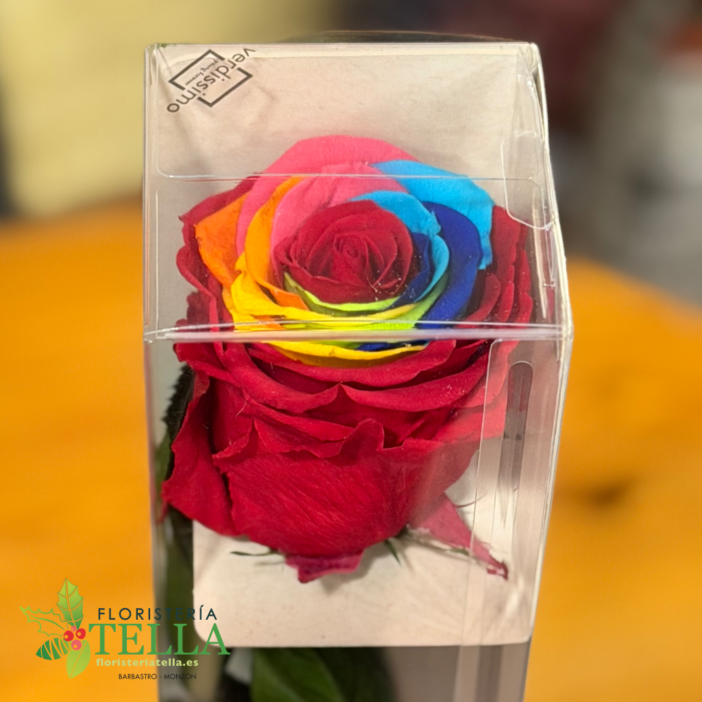 Preserved Rainbow Rose