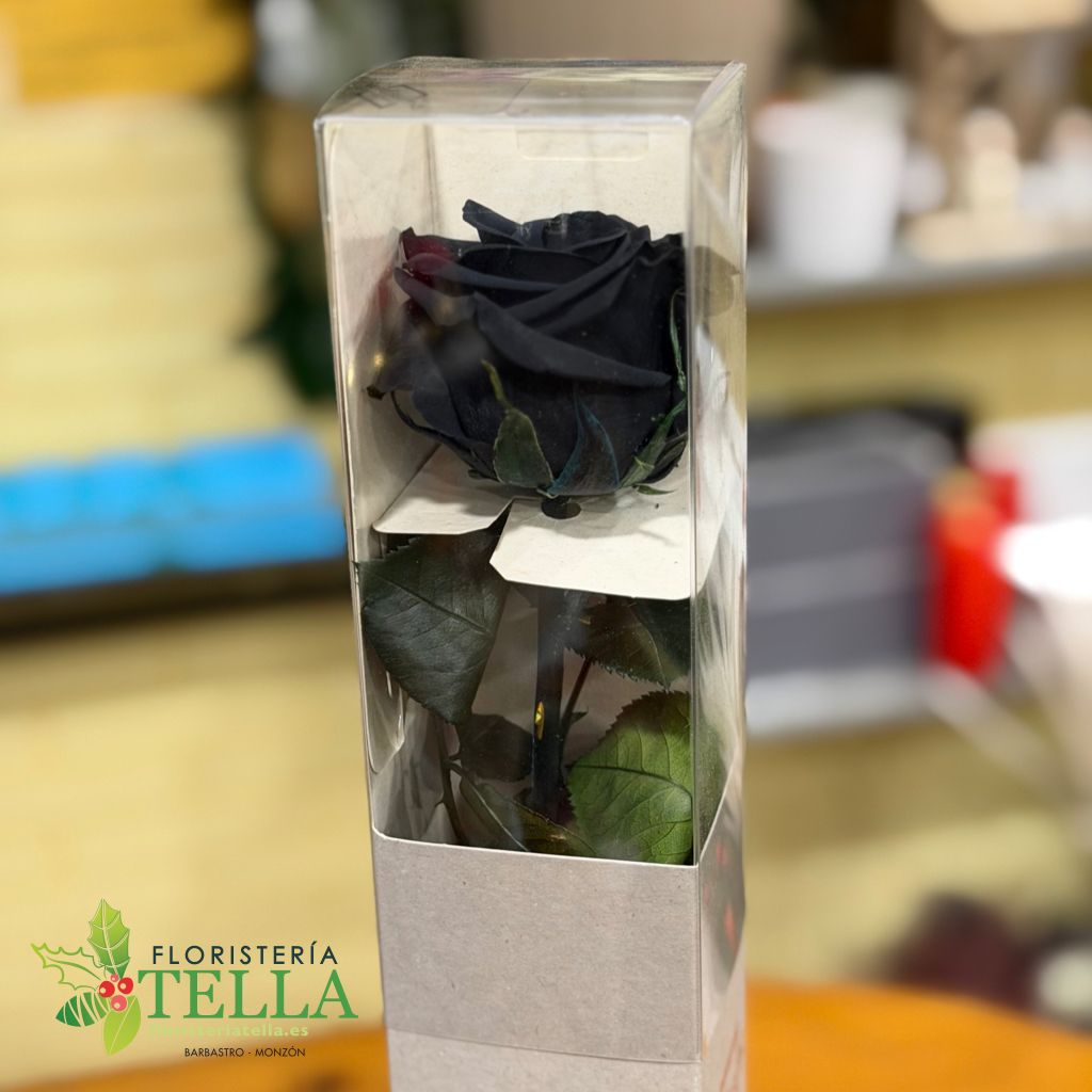 Rosa Negra Preservada
