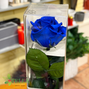Rosa Azul Preservada