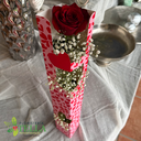 Rosa Individual Especial San Valentín