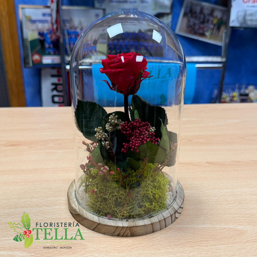 Cúpula Preservada Rosa Roja Grande