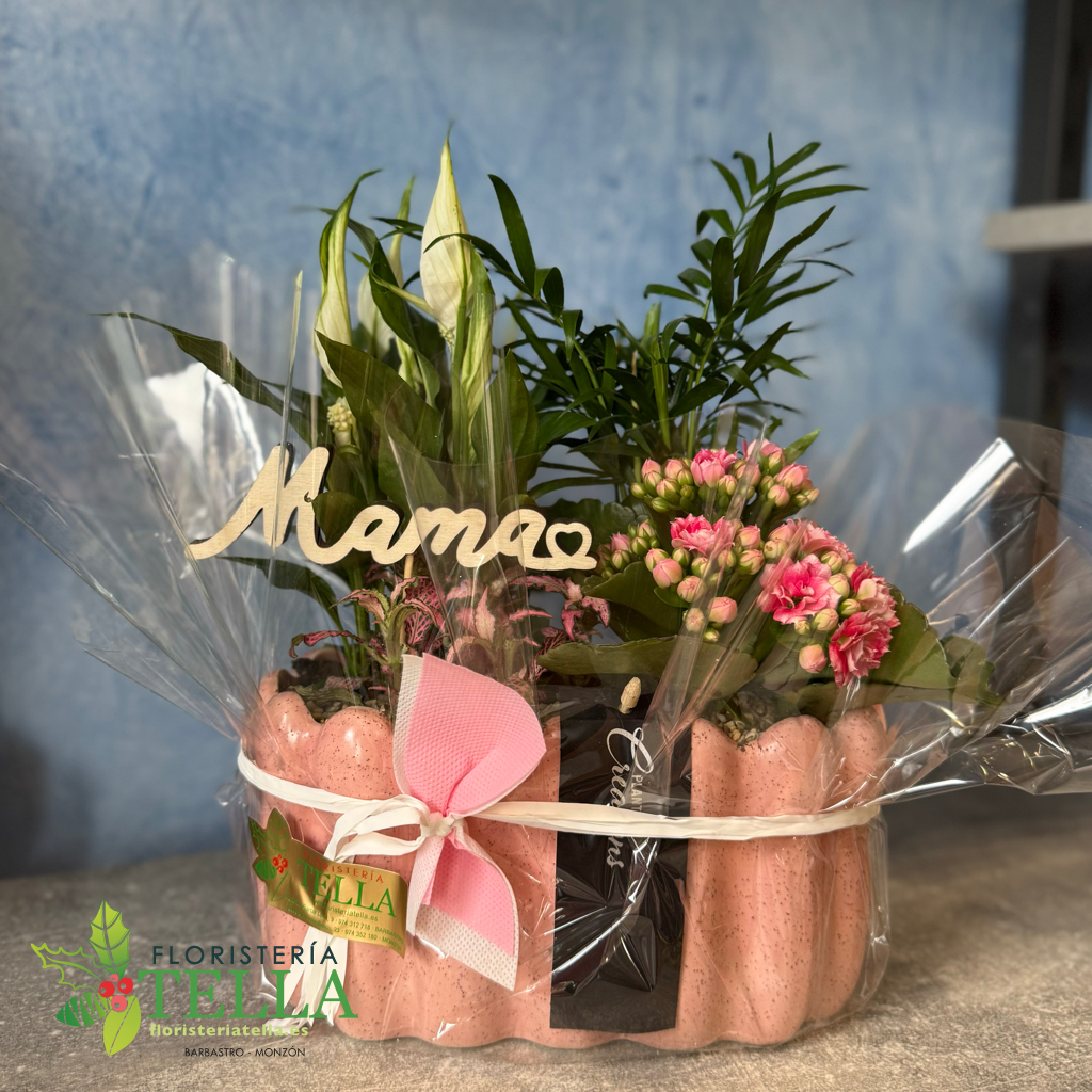 Cerámica Piedra Rosa Mamá con variedades de Interior