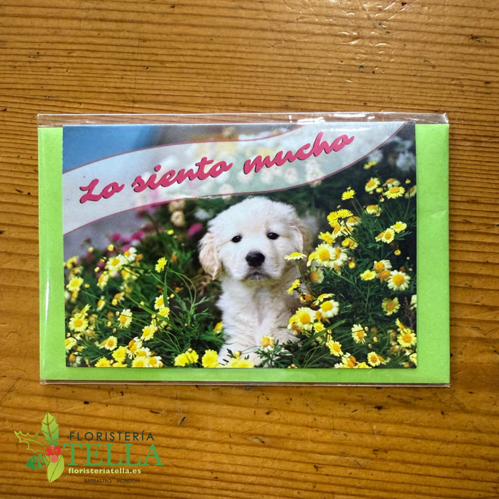 Tarjeta "Lo siento mucho"