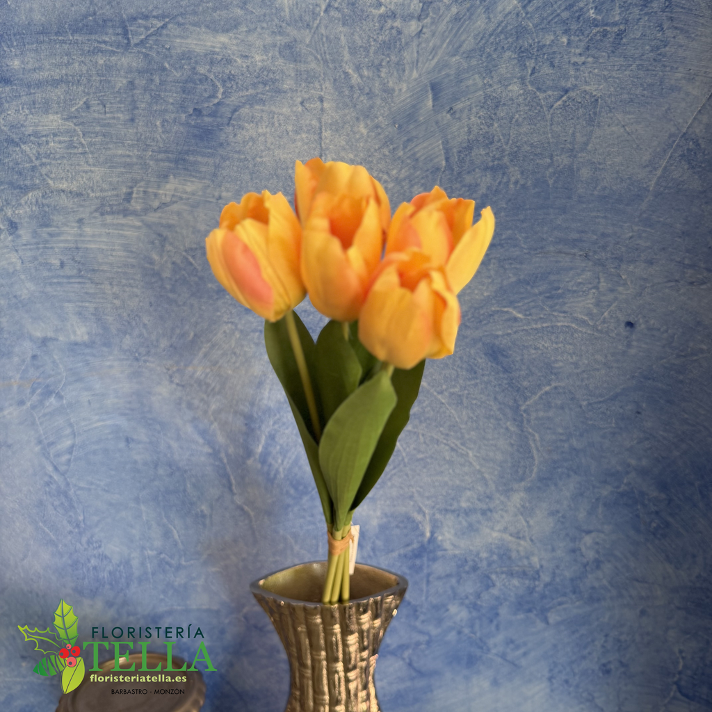 Atado Tulipanes 50 cm