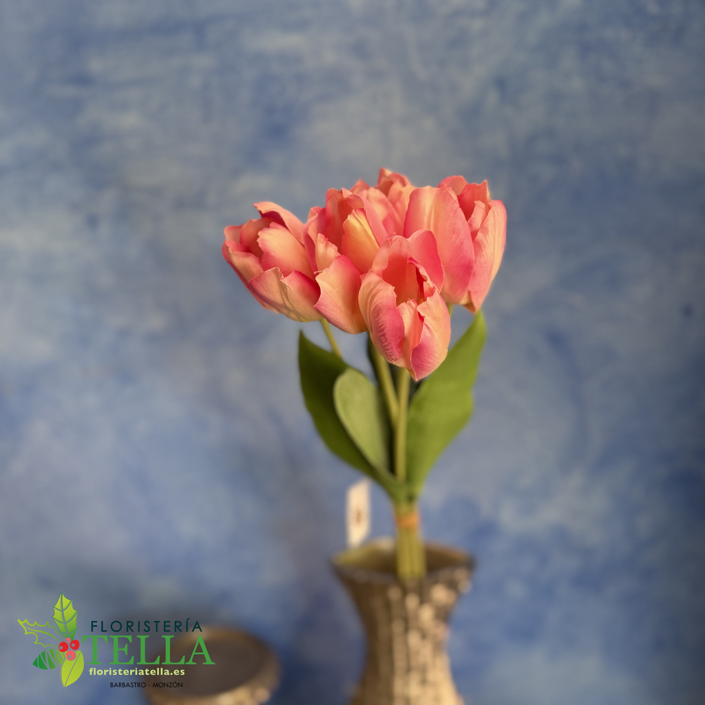 Atado tulipanes 50 cm