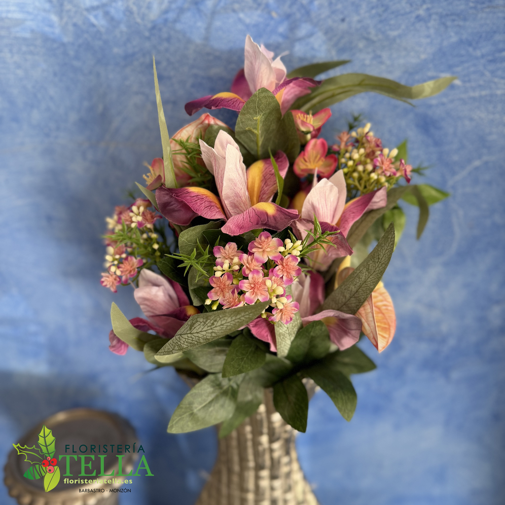 Palma Iris Anthurium 50 cm